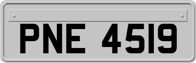 PNE4519