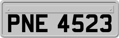 PNE4523