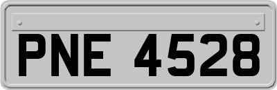 PNE4528