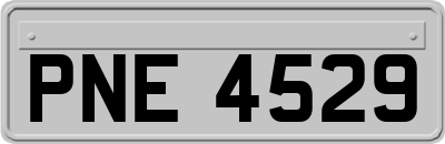 PNE4529