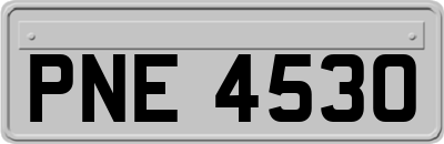 PNE4530