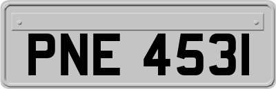 PNE4531