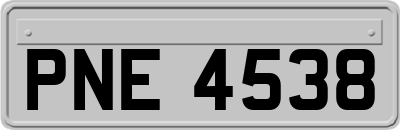 PNE4538