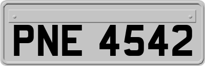 PNE4542