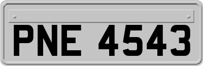 PNE4543