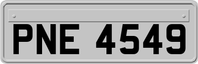 PNE4549