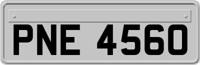 PNE4560