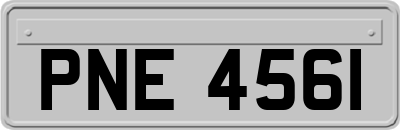 PNE4561