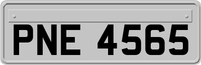 PNE4565