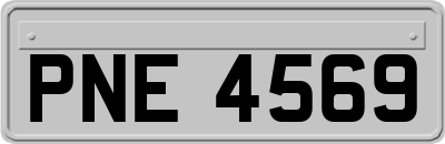 PNE4569
