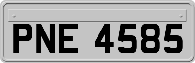 PNE4585