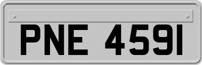 PNE4591