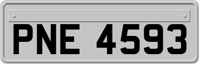 PNE4593