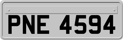 PNE4594