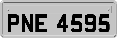 PNE4595