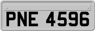 PNE4596