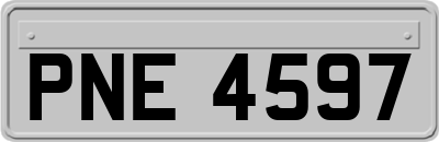 PNE4597