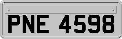 PNE4598