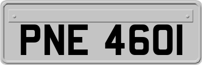 PNE4601