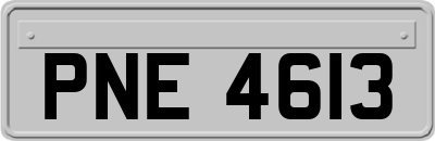 PNE4613