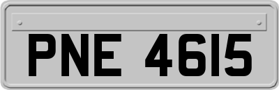 PNE4615
