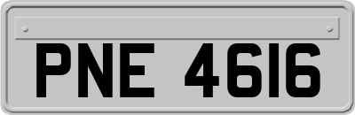 PNE4616