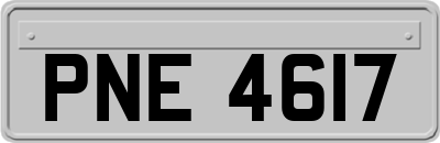 PNE4617