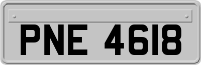 PNE4618