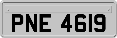 PNE4619