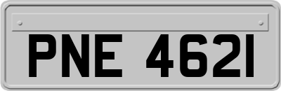PNE4621