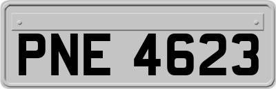 PNE4623