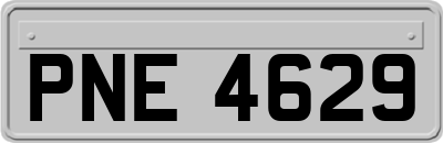 PNE4629