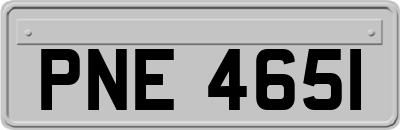 PNE4651