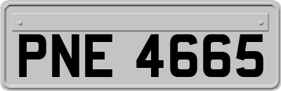 PNE4665