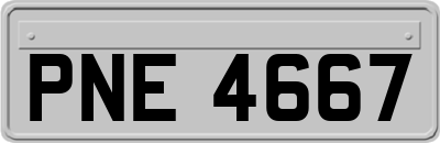 PNE4667