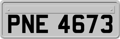 PNE4673