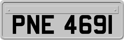 PNE4691