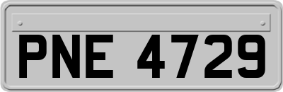 PNE4729