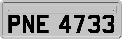 PNE4733