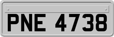 PNE4738