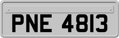 PNE4813