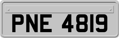 PNE4819