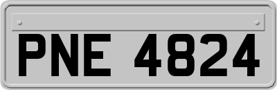 PNE4824