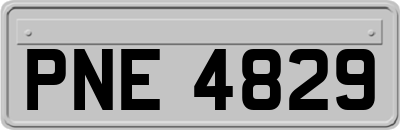 PNE4829