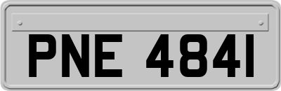 PNE4841