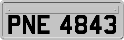PNE4843