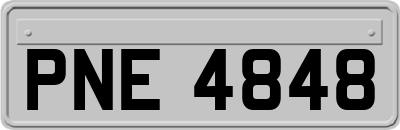 PNE4848