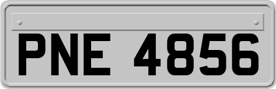 PNE4856
