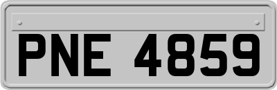 PNE4859