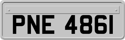 PNE4861